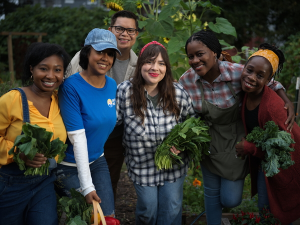 Volunteers on a farm