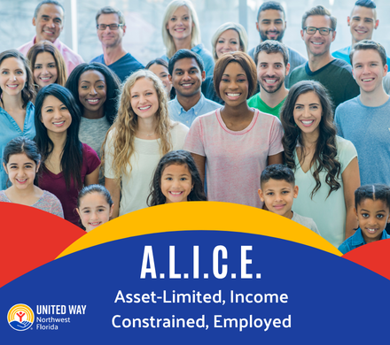 ALICE Individuals in a group in an ALICE graphic