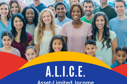 ALICE Individuals in a group in an ALICE graphic